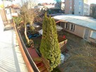 Dom Szczecin Pogodno, ul. Rokitniańska - 4