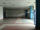 Lokal DT Orfeusz 750 m2, cena do negocjacji - 3