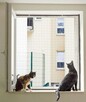 Siatka balkonowa, zabezpieczenie dla kota, przeciw ptakom - 4