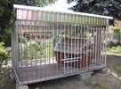 Kojec dla psa 3x2+PODŁOGA+uchwyty na miski, WZMOCNIONY - 8