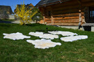 Skóra Owcza Naturalna Dywany Skóry Zszywane Skóry Naturalne - 3