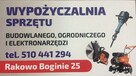 Glebogryzarka OLEO-MAC - wynajem - 3