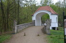 dom całoroczny na Kaszubach wynajmę - 10
