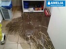 sprzątanie po wybiciu kanalizacji zalaniu Cała Polska - 12