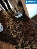 sprzątanie po wybiciu kanalizacji zalaniu Cała Polska - 11