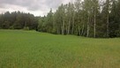 Mazury Stare Juchy działki w okolicach jeziora lasu - 10
