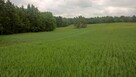 Mazury Stare Juchy działki w okolicach jeziora lasu - 6