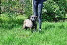 Nikt nigdy o nią nie zapytał! Pokochaj Spectrę! Adoptuj! - 8