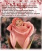 fotomontaż dziecka - 1