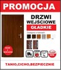 Drzwi wejściowe do mieszań i domów-Produkt Polski - 1