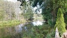 Działka z domkiem nad Drawą z dostępem do linii brzegowej - 7