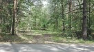 Działka rolno-leśna Nowy Pilczy, bezpośrednio - 2