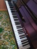 sprzedam pianino CУРА - 2