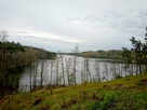 Mazury Stare Juchy działki w okolicach jeziora lasu - 3