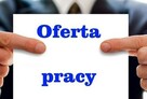 Praca przy kwiatach w Holandii - 340 e tyg + bonus