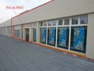 Do wynajęcia lokal na 1 pietrze 250m2 w Sosnowcu - 5