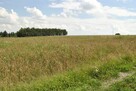 Dom Szerzyny - 15