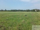 Działka usługowa Brzeziny gm. Halinów - 5