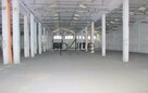 Hala/Magazyn, 3 600 m², Poznań - 3