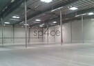 Hala/Magazyn - warehouse, 8 100 m², Piaseczno - 3