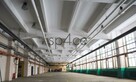 Hala.Magazyn 600 m2 Piaseczno - wynajem - 3
