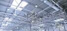 GOODMAN - Magazyn, Hala - Kraków , 4250 m2 - 9