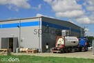 Hala. Magazyn 2000 m2 Opole - 3