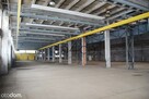 16000 m kw. do wynajęcia, Gorzów Wielkopolski - 3