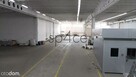 BEZPOSREDNIO - Hala/Magazyn , 3570 m², Krapkowice - 3