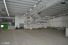 - bezpośrednio - Magazyn OLSZTYN 2100m2 , ostróda - 15