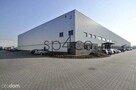 Hala - MAGAZYN - produkcja. 3648 m2 - SZCZECIN - 1