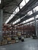 Hala - MAGAZYN - produkcja. 3648 m2 - SZCZECIN - 4