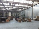 Hala - MAGAZYN - produkcja. 3648 m2 - SZCZECIN - 7