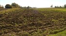 Pracujące GOSPODARSTWO ROLNE. - 700 ha - 6