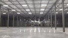 TORUN 3200 m2 - Wynajme Hala Magazyn