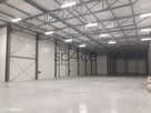 TORUN 3200 m2 - Wynajme Hala Magazyn - 3