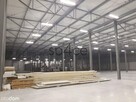 TORUN 3200 m2 - Wynajme Hala Magazyn - 4