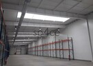 1200 m2 - Bezposrednio - Sulejowek - 10