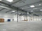 2550 m2 - Białystok - wynajme Magazyn - 5