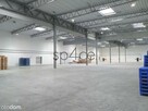 2550 m2 - Białystok - wynajme Magazyn - 7