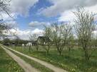 Działka budowlana Annopol