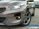 Kia XCeed 1.6T-GDI 204KM | Wersja L + BL2 |Copper Stone |2020 - 16