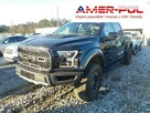Ford F150 Raptor, 2020, 3.5L, od ubezpieczalni - 1