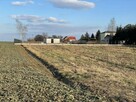 Biskupie-Kolonia, koło os. Borek / Turka - bezpośrednio - 3