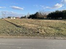 Biskupie-Kolonia, koło os. Borek / Turka - bezpośrednio - 4