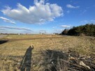 Biskupie-Kolonia, koło os. Borek / Turka - bezpośrednio - 1