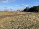 Biskupie-Kolonia, koło os. Borek / Turka - bezpośrednio - 2