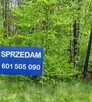 DZIAŁKA LEŚNA - 16