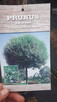 Ogrody kompleksowo Ostrów Mazowiecka i okolice. Minikoparka. - 10