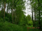 Mazury-JERUTKI. Domek nad jez. Marksoby. - 7